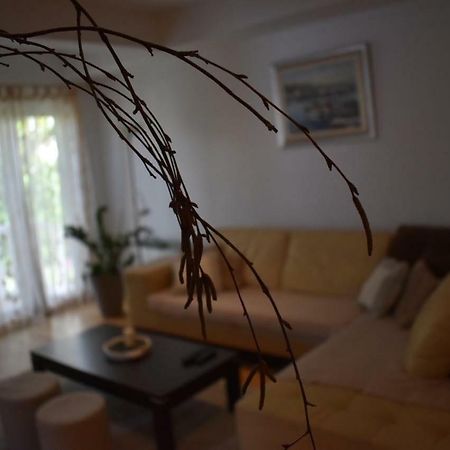 Fantasy Apartment Đảo Korčula Ngoại thất bức ảnh