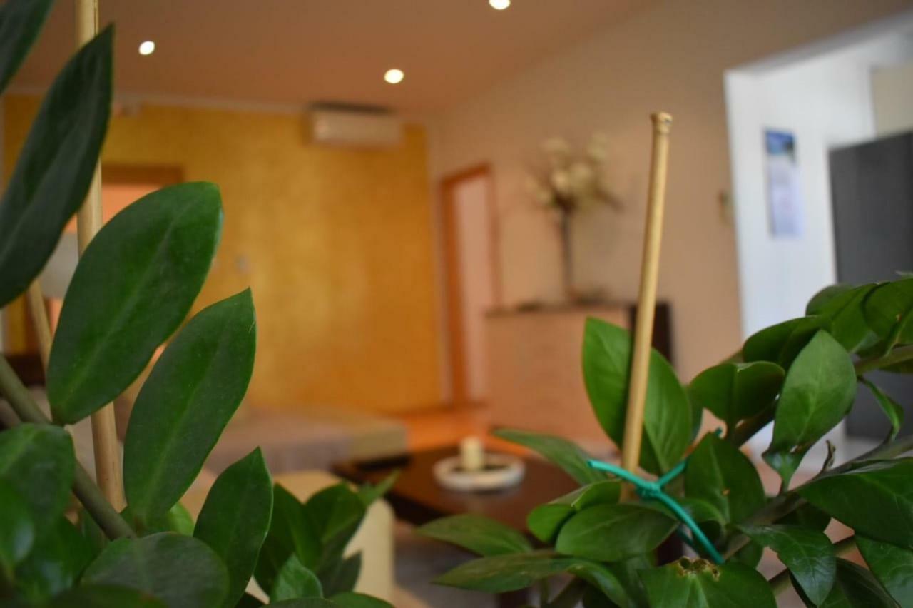 Fantasy Apartment Đảo Korčula Ngoại thất bức ảnh